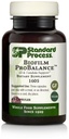 Standard Process Biofilm ProBalance - Digestive Wellness Supplement with Probiotics - Gut Health & Microbiome Support - Aids Intestinal Comfort - Gluten-Free & Vegan - 45 Capsules (15 Servings)