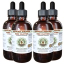 Red Clover Alcohol-Free Liquid Extract, Red Clover (Trifolium Pratense) Seed Glycerite Natural Herbal Supplement, Hawaii Pharm, 4x4 fl.oz