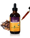 Herb Pharm Clove Liquid Herbal Extract: USDA Organic Support for Occasional Gas & Indigestion | Clove Supplement Made with Ground Cloves | Gluten-Free, Sugar-Free, Vegan, Up to ~5 Month Supply, 4 oz*