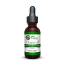Chaparral, Gobernadora (Larrea tridentata) Herbal Extract 1 fl oz.