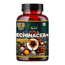 Humming Herbs Echinacea Complex — with Tulsi (Holy Basil), Quercetin, Vitamin C & Zinc — 1050 mg per Serving — 120 Capsules (60 Days) — Immune System & Seasonal Wellness Support