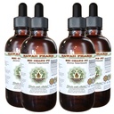 Hawaii Pharm Shi Chang Pu Alcohol-Free Liquid Extract, Shi Chang Pu, Sweetflag (Acorus Tatarinowii) Root Glycerite Natural Herbal Supplement, USA 4x4 fl.oz