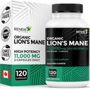 Renew Actives Premium Organic Lion's Mane Mushroom 1100MG per 2 Capsules - Supports Brain Function, Memory, Focus, Stress Relief & Immune Health, Non-GMO, Vegan - Made in Canada - 120 Capsules