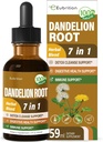 Mælkebøtte Root Extract Drops, Diente de Leon Organico Hierba, Mælkebøtte tillæg Formel w / Milk Thistle Gurkemeje til Detox Rense, fordøjelse og immunforsvar, Alkoholfri tinktur. 2oz
