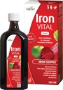 Hübner Iron Vital Liquid Iron Supply Plus Vitamin C, Dietary Supplement for Adults and Kids, Vegan and Gluten-Free, Fruit Flavor, 250 ml Bottle, 25 Servings