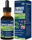 Cleavers Lymphorous Drainage Drops til Lymph System Detox Rense, Lymphedema Support Formel w / Echinacea, Kat 's Claw, Red Clover Extract Tinktur, Brug med Lymph Massage Tool. 2oz