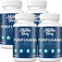 1500 MG Detox og Cleanse, Body Detox for Mænd & Kvinder, Hurtig Detox, Nyre Cleanse Detox & Repair, Natural Herbal Premium Formel for Lever, Urinære Tract, Fordøjelse & Food, Lavet i USA, 240 Caps