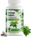 Pure Moringa Oleifera Green Superfood kapsler med C-vitamin, Omega 3 & Aminosyrer - øger energi, mad, hukommelse, immunforsvar - fremstillet af organisk Moringa, non-GMO - 60 kapsler (1 flaske)