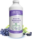 Begravet Treasure Fulvic Minerals Grape Flavored - Kolloide Minerals fra Humic Fulvic Acid, Electrolytes fra Trace Minerals til inddrivelse og Wellness Support. Tilføj til vand - 32 Serveringer