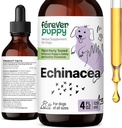 Forever Puppy Echinacea Drops for Dogs - Immunity Support & Respiratory Health w/Echinacea Herb Extract - Liquid Immune Support Supplement for Dogs of All Breeds & Sizes - 4 oz