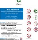 Foods For Gut Lactobacillus Plantarum Probiotic Powder 400 Billion cfu's | Made in USA | No Additives | Direct from Manufacturer | No Third-Party Storage | Immune Support | 30 Grams (1.05 Oz)