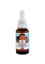 Punkin But Baby Ear Oil against 124; Organic hvidløg, Mullein, Calendula Ear Drops Safe for Spædbørn (1 oz)