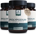 Polypodium Leucotomos Extract 10: 1, 240 mg, 120 Veg kapsler - Understøtter naturlig sund hud karriere-Antioxidant- Natural Skin Tone- Vegetar, Non- GMO 4 Måned Supply