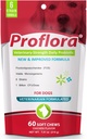 Probiotika til Dogs- Complete Gut Health & Immunsupport. Let at bruge fordøjelsesmiddel Multi- Strain Probiotika. Nemmere kost Forandringer, sundere hud & Coat & hjælper behandler Diarré. 60 bløde tykkelser