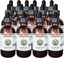 Kanel Alkohol- Free Liquid Extract, Kanel (Cinnamomum Verum) Tørret Bark Glycerit Hawaii Pharm Natural Herbal Supplement 15x4 oz