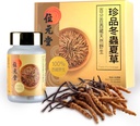 100% Wild Tibetansk Cordyceps Kapsler - Jord fra rå Cordyceps, Energi, Lung & immunforsvar, 24 Kapsler
