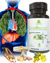 OMNIBREATHE - Hurtig forbedring af vejrtrækningsproblemer ved NAC 600MG Scientific Formulated w. Quercetin / Mullein / Coq 10 / Ginger / Stinging Nettle / Bromelain, 3 gange w. Måltid (10-Day Supply to Boost)