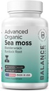Organic Irish Sea Moss, Bladderwrack & Burdock Root Supplement 1405mg, 60 Veg Kapsler - Immunbooster, Gut Health, Skin Detox & fælles støtte (60 greve (pakke med 1))