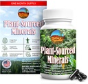 Plante- souced Minerals, 60 kapsler, Organic Natural Trace Minerals og antioxidanter, der understøtter immun- og fordøjelsessystemer, fremme optimal sundhed. Sourced and Made in USA