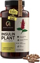 Premium Quality Costus Igneus (Insulin Plant) Kapsler - Let at synke 120 Veggie Kapsler (1 måned Tilgang) - Lavet i USA - herunder komplet helbredsprogram