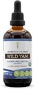 Secrets of the Tribe Wild Yam USDA Organic | Alcohol-Free Extract, High-Potency Herbal Drops, Digestion | Made from 100% Certified Organic Wild Yam (Dioscorea Villosa) Dried Root 4 oz