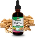 NAture's Answer Wild Yam | Promotes Overall Health & Well-Being | Made with Low Organic Alcohol | Gluten-Free, Non-GMO & Kosher Certified 2oz