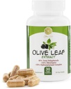 Olive Leaf Extract - 500mg - Supplement Standardiseret til 25% Oleuropein - 20% Hydroxytyrosol - 40% Polyphenoler - Non- GMO + Gluten Free + Dairy Free + Soy Free + Vegan (30 kapsler)