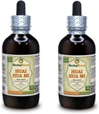 Huai Hua Mi (Sophora Japonica) Tinktur, Organic Tørret Flower Bud Liquid Extract (Brand name: HerbalTerra, Stolt fremstillet i USA) 2x4 fl.oz (2x120 ml)
