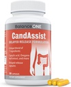 Balance ONE Candida Support med CaptaceAcid, Berberine & Oregano Leaf Extract - Understøtter sund Gær Balance & Gut Flora - Forsinkede Release Capsules, 1 måned Tilbud, for kvinder & mænd - CandAssist