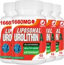 1660MG Urolithin A Supplement - Liposomal Urolithin 240 Kapsler