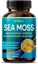 Premium Sea Moss med Ashwagandha, Burdock Bladderwrack, Black Seed for Immunsystem, Skin, Fordøjelse & Energi- Made in The USA (150 Greve (Pack of 1))