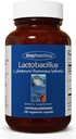 Allergy Research Group Lactobacillus Supplement - Probiotika til mænd og kvinder, fordøjelsessygdomme, Gut Health, vegetariske kapsler - 100 Greve