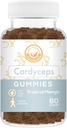 Cordyceps Mushroom Gummies - Kan støtte energi, Endurance og Stamina - Tropical Mango Flavor - Vegan, Non- GMO, Gluten- Free, Gelatine Free - 60 Greve