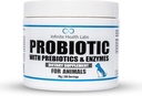 Probiotika til hunde og katte - Vet Formuleret Made i USA Pet Prebiotic & Enzyme Powder til fordøjelse, Gut & immunforsvar - 200 Servering (50 g)