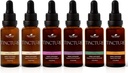 Plant Terapi Organic Tinctures Beginner Set 30 mL Hver af Organic Ashwagandha, Asian Ginseng, Echinacea Blend, Elderberry, Lemon Balm & Gurmerisk