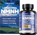 NMNH Supplement - 500mg Per Serving, Boosts NAD+ Levels, NAD Supplement Supports Immune Health & Anti-Aging, 60 Capsules