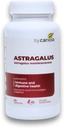 Astragalus Root Capsules - immunforsvar & fordøjelsesstøtte supplement - Natural Formel, øger energi, forbedrer fordøjelsen - Astragalus Membranaceus Extract - 60 Greve (30 Servere)