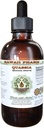 Quassia Alkohol- Free Liquid Extract, Quassia (Quassia Amara) Tørret Bark Glycerite Natural Herbal Supplement, Hawaii Pharm, USA 2 fl.oz