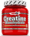 Amix Creatinine monohydrat - Pulver 300 Bedste