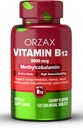 ORZAX vitamin B12 5000 mcg methylcobalamin til hukommelse, mood, blodcelle funktion, cardiovaskulær og energitilskud - Cherry Flavored - Vegan & non- GMO - 120 Sublinguale tabletter - 120 dages forsyning