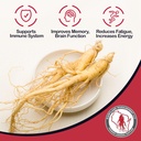 Dairyland American Ginseng Slices - 4 oz Pack Wisconsin Ginseng Slices - Certificeret noget særligt fra Wisconsin - Non-GMO, Gluten Free Sliced Root - Urte supplement i suppe, te, Congee
