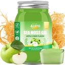 (18 OZ) Irish Sea Moss Gel Organic Raw Vegan Apple Flavor 102 Vitamin og mineral Wild Harfted non-GMO immunforsvar Booster Thyroid fordøjelsesstøtte
