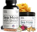 Atlantic Naturals Sea Moss Superfood Bundle - Sea Moss med Shilajit 5- in-1 Capsules & Sea Moss Powder med Ashwagandha, Beet Root & Maca Root - Forbedret Vitality, Hud & Athletic Support 60 ct & 150g