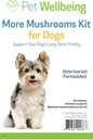 Pet Wellbeing More Mushrooms Kit til Hunde - immunsystem support og antioxidant beskyttelse - Vet- Formuleret med Tyrkiet Hale, Reishi, Maitake, Astragalus